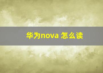 华为nova 怎么读